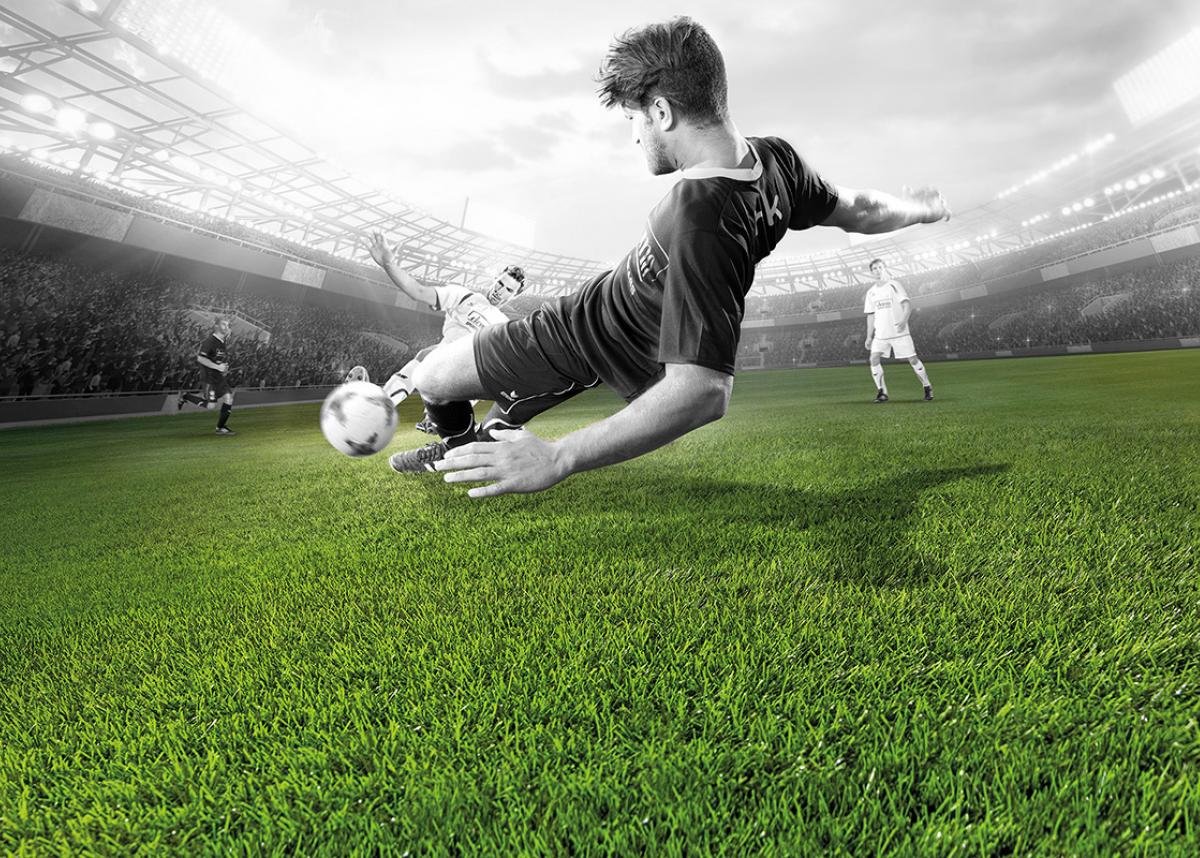 1650454598_Soccer - Domo Sports Grass_0.jpg